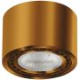 AZzardo ECO ALIX AZ3496 Lumină montată pe suprafață 1x35W/GU10/ES111 IP20