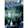 Eglo SOLAR 48513 Lampă solară 1x0,06W/LED