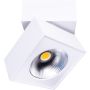 Maxlight ARTU C0106 Lumină montată pe suprafață 1x15w/led 3000k 1000lm ip20