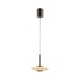 Paul Neuhaus PURE VITRUM 2053-34 Lampă cu pendul 2x10W/LED 2700K 530lm IP20