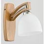 Alfa MAGNAT 21380 Aplique de perete 1x15W/E27