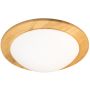 Fischer&Honsel SHINE-WOOD 21489 Lampă de tavan 2x40w/e27 ip20