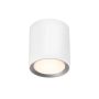 Nordlux LANDON 2110670101 Lumină montată pe suprafață 1x6,5W/LED IP44