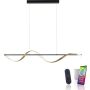 Paul Neuhaus Q-SWING 2385-13 Lampă cu pendul 1x28W/LED 2700-5000k 3100lm ip20