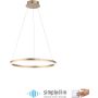 Paul Neuhaus TITUS 2382-60 Lampă cu pendul 1x44W/LED 3000k 5250lm ip20