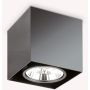 Ideal Lux MOOD 243931 Lumină montată pe suprafață 1x50W/GU10 ip20