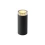 Garden Lights LINUM 2519061 Lampă de podea 1x2W/GU5,3/MODUL12LED