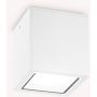 Ideal Lux TECHO 251523 Lumină montată pe suprafață 1x20W/GU10 ip54
