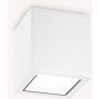 Ideal Lux TECHO 251561 Lumină montată pe suprafață 1x20W/GU10 ip54