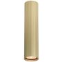 Italux Rilok CLN-83920-L-GD Lumină montată pe suprafață 1x10W/GU10 IP20
