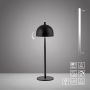 Paul Neuhaus BELLIS 19244-18 Lampă de masă 1x2,5W/LED 3000k 189lm ip54