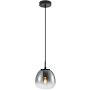 Italux Antita PND-3650-1S-BK-CSG Lampă cu pendul 1x40W/LED IP20