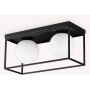 Ideal Lux LINGOTTO 304137 Lampă de tavan 2x28W/E14 ip20