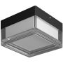 Italux Nefis PLF-53628-BK Lampă de tavan 1x9W/LED IP65