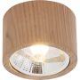 Zuma Line OAK 3010103 Lumină montată pe suprafață 1x15W/GU10 Es111 IP20