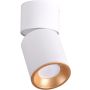 Polux NIXA 314260 Lumină montată pe suprafață 1x10W/GU10 IP20