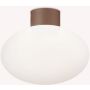 Ideal Lux CLIO 326795 Lampă de tavan 1x42W/E27 ip44
