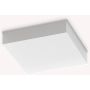 Ideal Lux SNOW 326245 Lampă de tavan 1x18W/LED 4000K ip65