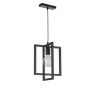 Sigma Lighting EDEN 32231 Lampă cu pendul 1x60W/E27