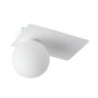 Sigma Lighting ARGON 33272 Lustră de tavan 1x12W/G9