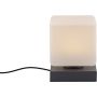 Paul Neuhaus DADOA 4036-13 Lampă de masă 1x7W/LED 3000k 580lm ip20