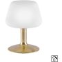 Paul Neuhaus TILL 4078-60 Lampă de masă 1x2,6W/G9 ip20