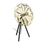 Eglo CASTANUELO 43808 Lampă de masă 1x40W/E27 IP20