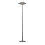 Paul Neuhaus PURE VITRUM 481-15 Lampă de podea 2x14,2W/LED 2700K 500lm IP20