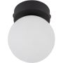 TK Lighting MINI 5613 Lustră de tavan 1x6W/G9 IP20