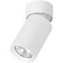 Alfa FLEX 59026 Lumină montată pe suprafață 1x10W/GU10