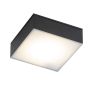 Antigo Tottori 8057 Lumină montată pe suprafață 1x10W/LED 3000K 1150lm IP44