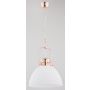 Alfa INEZ 60402 Lampă cu pendul 1x15W/E27