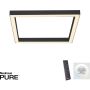 Paul Neuhaus PURE-LINES 6022-13 Lampă de tavan 1x29W/LED 2700-5000k 2500lm ip20