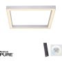 Paul Neuhaus PURE-LINES 6022-95 Lampă de tavan 1x29W/LED 2700-5000k 2800lm ip20