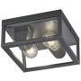 Trio GARONNE 601860242 Lampă de tavan 2x10w/e27 ip44