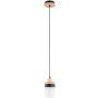Alfa FRONY 61623 Lampă cu pendul 1x15W/E27