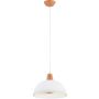 Alfa REY 61385 Lampă cu pendul 1x15W/E27