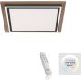 Paul Neuhaus PALMA 6141-79 Lampă de tavan 2x50W/LED 2700-5000k 5100lm ip20