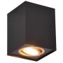 Trio BISCUIT 613000180 Lumină montată pe suprafață 1x35w/gu10 ip20