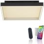 Paul Neuhaus Q-MAGONG 6316-18 Lampă de tavan 1x40W/LED 2700-5000k 5700lm ip20