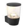 Endon CANILLO 67697 Aplique de perete 3.5W/GU10 5000K 345LM IP44