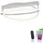 Paul Neuhaus Q-BELUGA 6739-55 Lampă de tavan 1x43W/LED 2700-5000k 4800lm ip20
