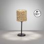 Fischer&Honsel Hyazinthe 50678 Lampă de masă 1x25W/E14 IP20