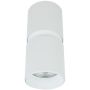 Zambelis CEILING SPOT S159 Lumină montată pe suprafață 1x40w/GU10 IP20