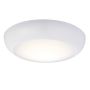 Endon FORCA 77892 Lustră de tavan 12W/LED 4200K 1140LM IP65