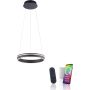 Paul Neuhaus Q-VITO 8410-13 Lampă cu pendul 1x33W/LED 2700-5000k 3250lm ip20