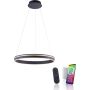 Paul Neuhaus Q-VITO 8411-13 Lampă cu pendul 1x44W/LED 2700-5000k 4550lm ip20