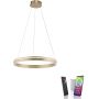 Paul Neuhaus Q-VITO 8411-60 Lampă cu pendul 1x44W/LED 2700-5000k 4550lm ip20