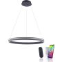 Paul Neuhaus Q-VITO 8412-13 Lampă cu pendul 1x65W/LED 2700-5000k 7000lm ip20
