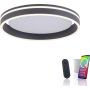 Paul Neuhaus Q-VITO 8414-13 Lampă de tavan 1x33W/LED 2700-5000k 3250lm ip20
